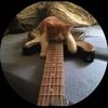 ezrexy